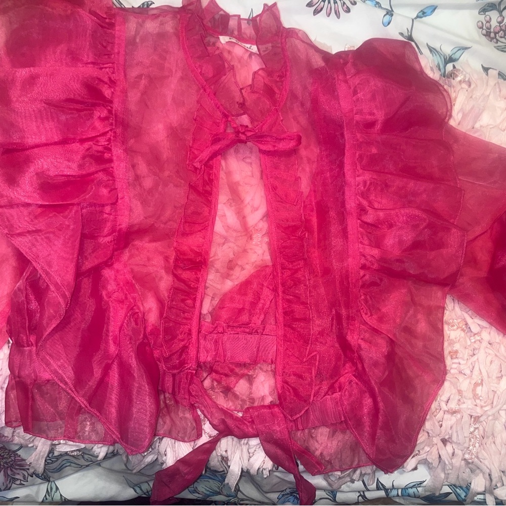 Sheer Pink Ruffled Blouse - Picture 2 of 2